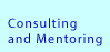 Consulting and Mentoring